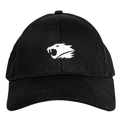 iBUYPOWER Cap (Black)